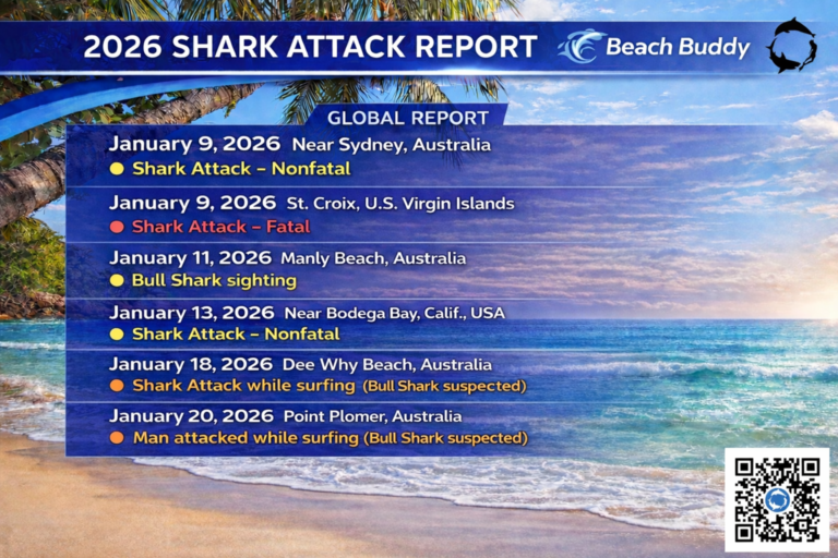 What’s happening in our oceans?