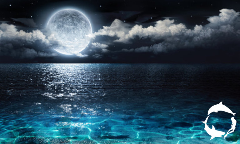 Should I swim in the ocean during a full moon?