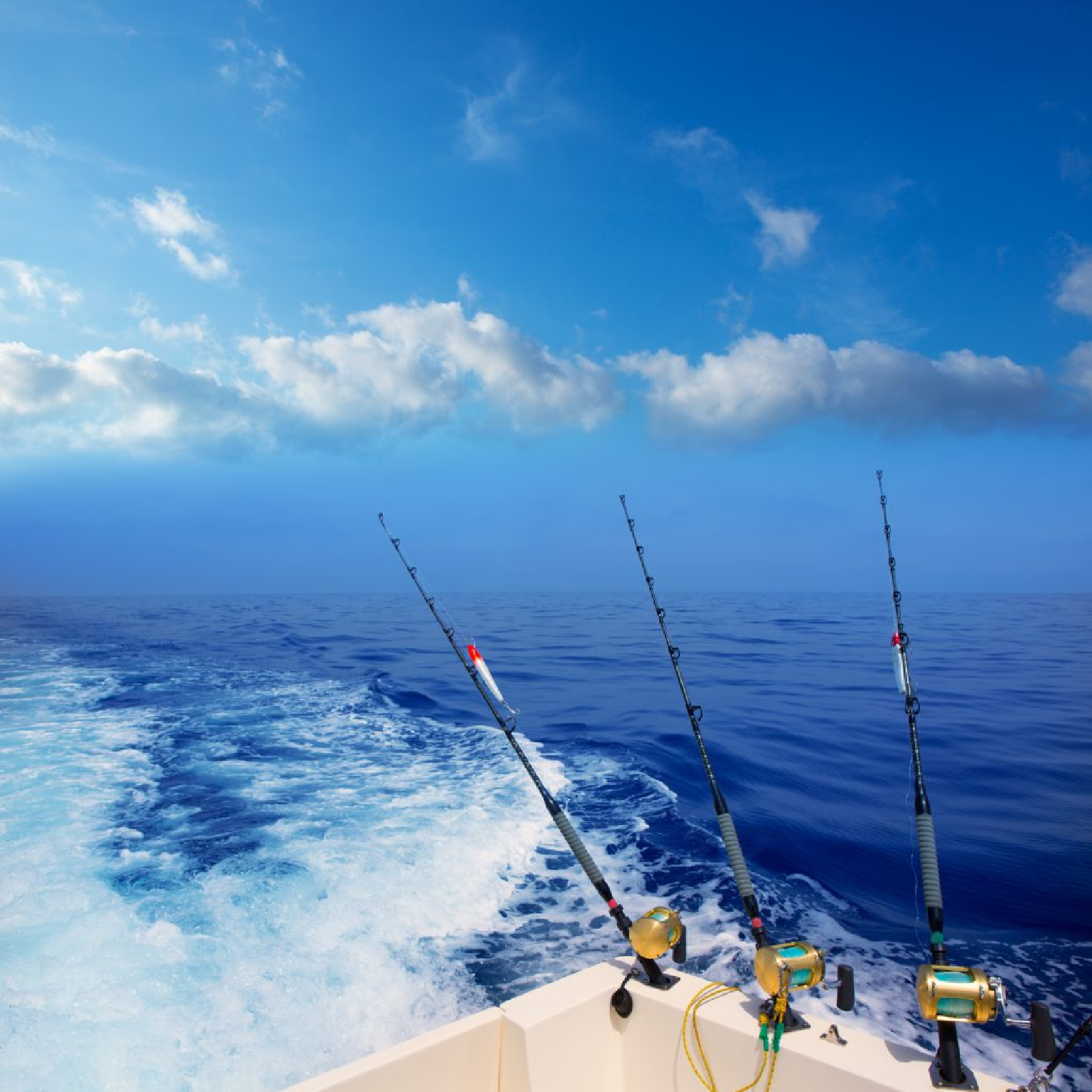 Fishing Charters